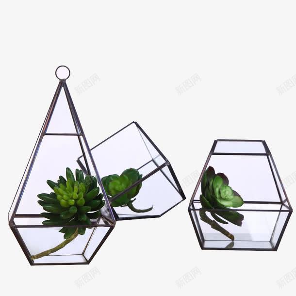 创意水培植物png免抠素材_新图网 https://ixintu.com 产品实物图 创意 容器 植物 水培