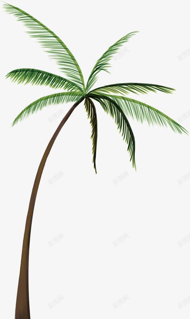 春天海边椰林植物png免抠素材_新图网 https://ixintu.com 春天 植物 椰林 海边