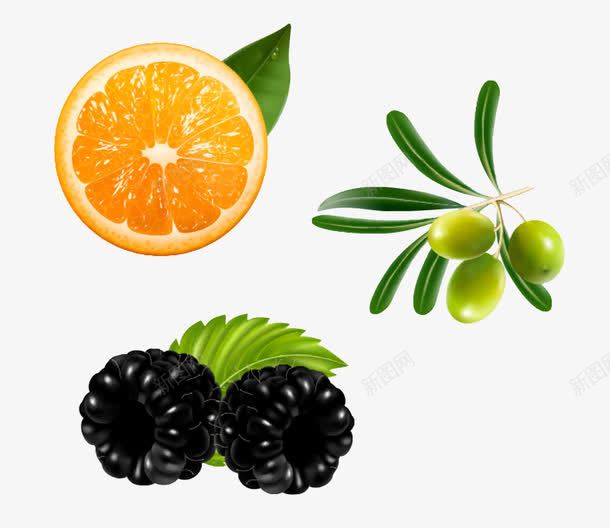 脐橙黑莓和橄榄矢量图ai免抠素材_新图网 https://ixintu.com 橄榄 水果 脐橙 黑莓 矢量图