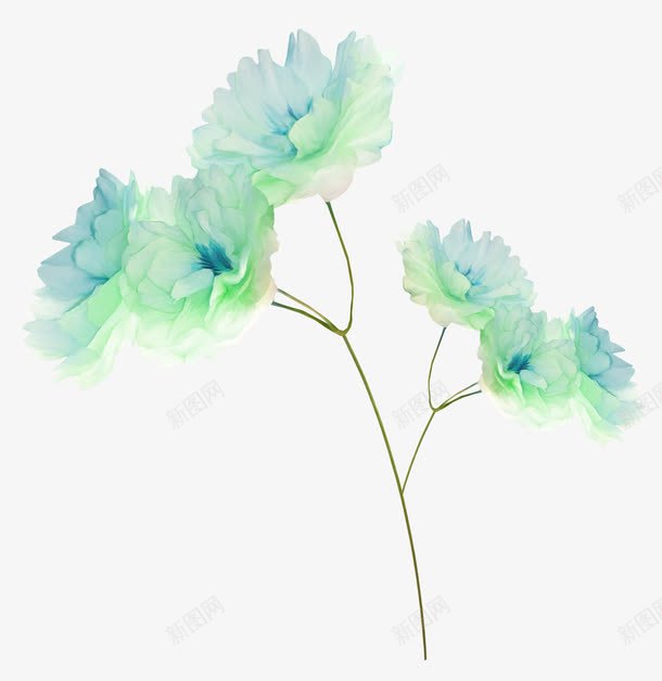 花朵装饰图png免抠素材_新图网 https://ixintu.com 免费png素材 淡蓝色花朵 花朵 花朵装饰图