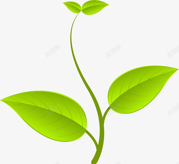 春天精美绿色树叶矢量图ai免抠素材_新图网 https://ixintu.com 春天 树叶 精美 绿色 矢量图