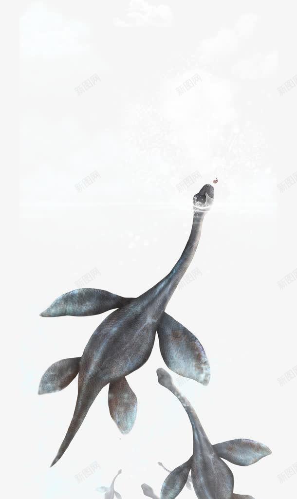 海里游泳的恐龙png免抠素材_新图网 https://ixintu.com 恐龙 游泳 潜水