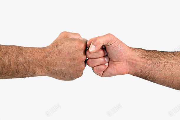 男性粗犷握拳的手png免抠素材_新图网 https://ixintu.com 体毛 兄弟义气 出拳 握拳 握拳的手 汗毛 男性 粗犷 荷尔蒙