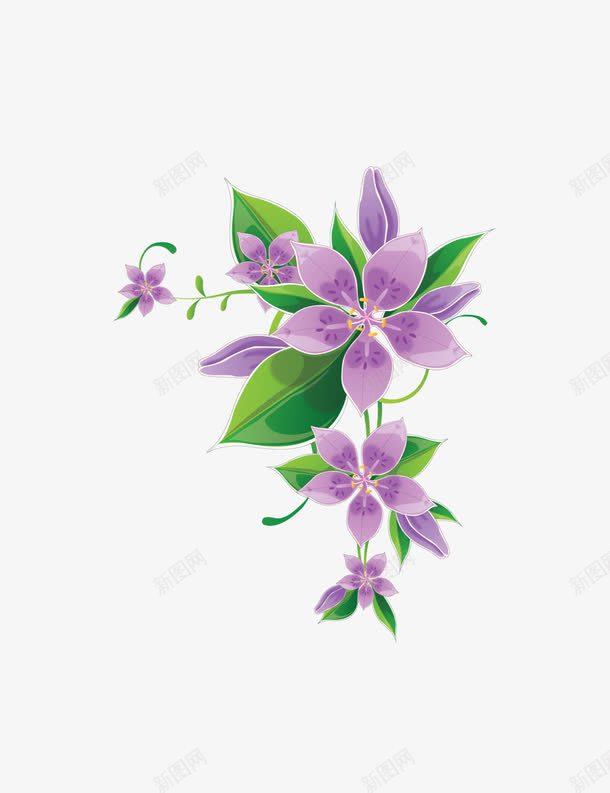紫色的五瓣花png免抠素材_新图网 https://ixintu.com 五瓣花 紫色花 装饰品