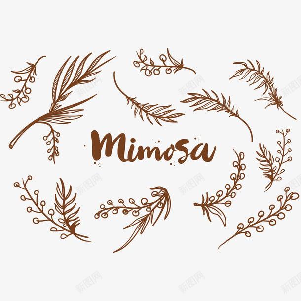 分散的含羞草png免抠素材_新图网 https://ixintu.com png素材 含羞草 植物