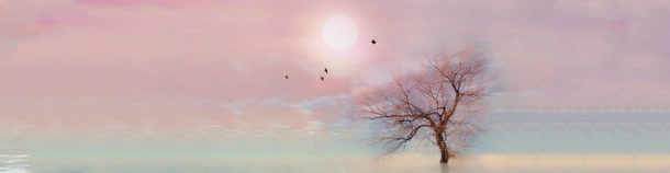 孤独的树jpg设计背景_新图网 https://ixintu.com 孤独