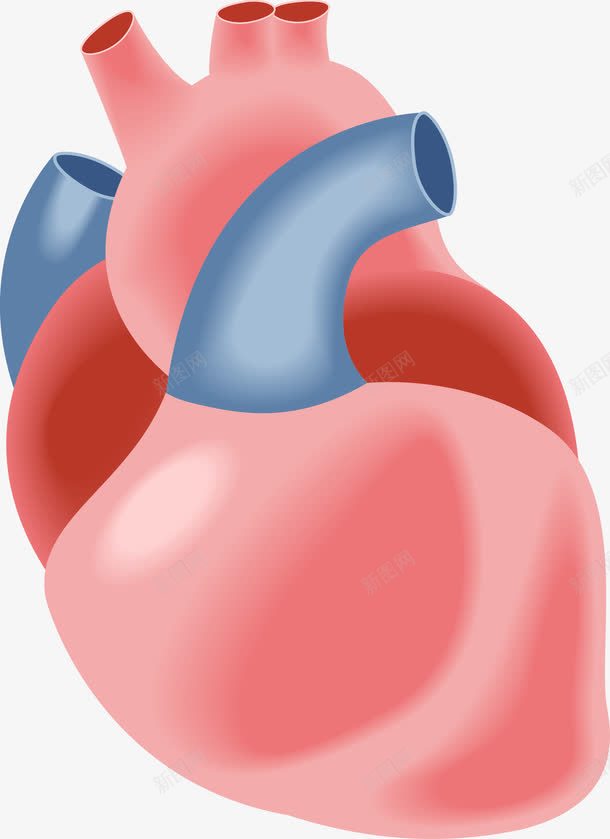 人体内脏器官图标png_新图网 https://ixintu.com 五脏六腑 人体 人体五脏 人体器官 内脏 卡通人体器官图标 器官 心 肝脏 肺 胃