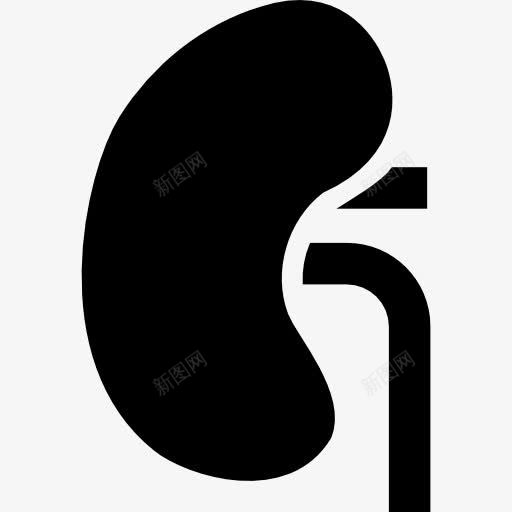 肾图标png_新图网 https://ixintu.com 医学 器官 泌尿科 肾脏 解剖