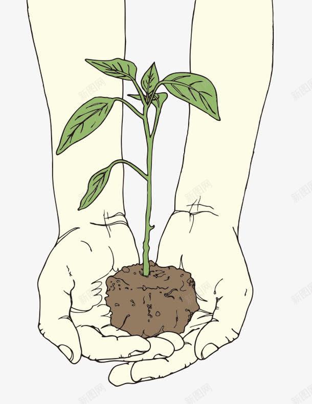 手捧绿植手捧绿树png免抠素材_新图网 https://ixintu.com 手捧绿树 手捧绿植 手绘 植树节