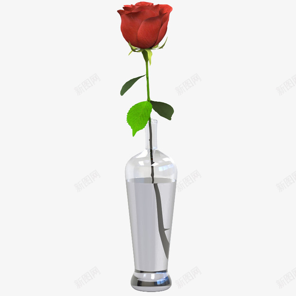 花瓶带刺花朵单支玫瑰png免抠素材_新图网 https://ixintu.com 单支 单支玫瑰 带刺花朵 玫瑰 花朵 花瓶带刺花朵单支玫瑰