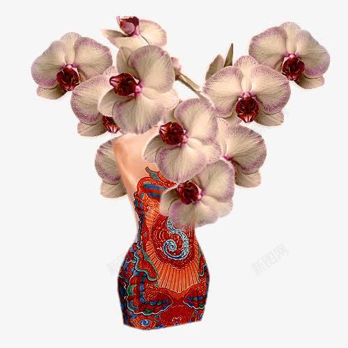 花瓶png免抠素材_新图网 https://ixintu.com 创意 插花 艺术花卉 花卉 花瓶 蝴蝶兰 鲜花