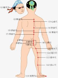 养生穴位图png免抠素材_新图网 https://ixintu.com 健康 养生 穴位 穴位图 针灸 针灸疗法
