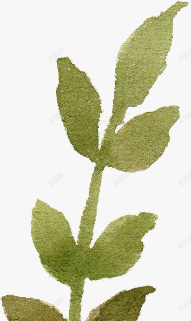 树叶背景元素树叶底纹png免抠素材_新图网 https://ixintu.com 卡通树叶图片 手绘树叶 树叶花边 树叶花边元素 绿色树叶 透明树叶图片