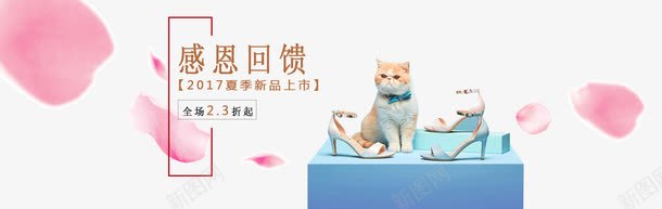 淘宝女鞋png免抠素材_新图网 https://ixintu.com 女鞋 文案设计 猫 花瓣