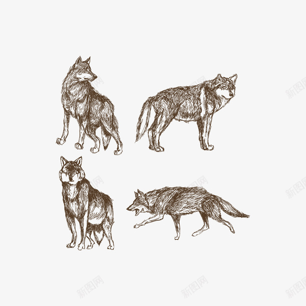 素描动物狼矢量图eps免抠素材_新图网 https://ixintu.com 300像素图 EPS图免抠 动物 大图免抠 头狼 狼狗 矢量图 素描 高清免抠 黑白野狼