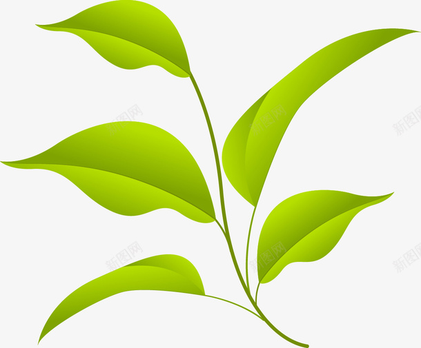 春天精美绿色树叶矢量图ai免抠素材_新图网 https://ixintu.com 春天 树叶 精美 绿色 矢量图
