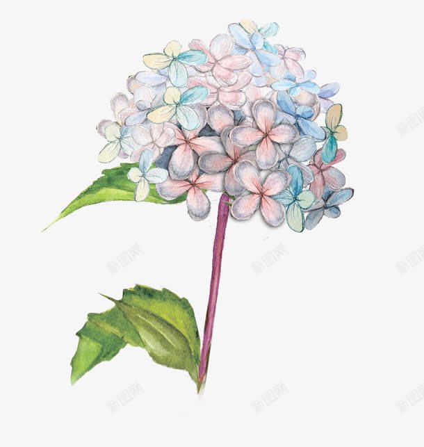 一朵手绘花儿png免抠素材_新图网 https://ixintu.com 创意 手绘 花儿 野花