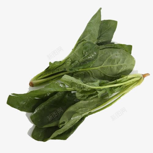 有机绿色菠菜png免抠素材_新图网 https://ixintu.com 产品实物 有机菠菜 绿色菠菜 蔬菜 蔬菜菠菜