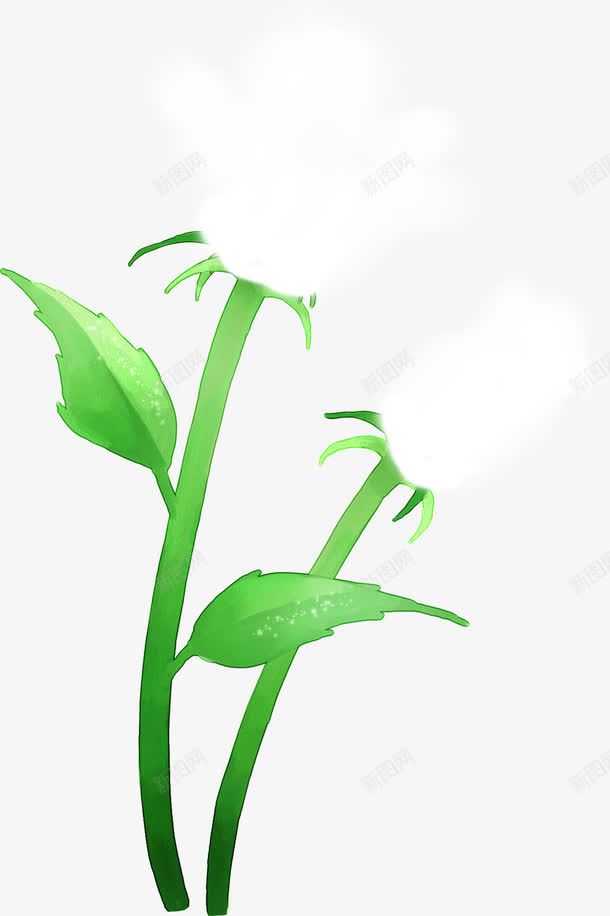 夏日手绘插画风景植物白色花朵png免抠素材_新图网 https://ixintu.com 夏日 插画 植物 白色 花朵 风景
