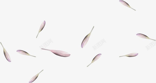 紫色花瓣装饰品png免抠素材_新图网 https://ixintu.com 手绘 紫色 花瓣 装饰品
