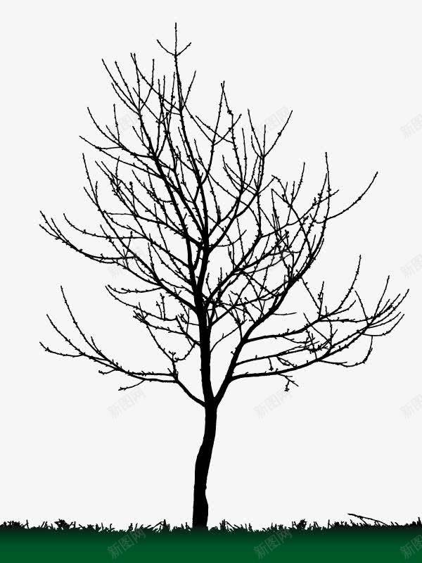 背景装饰枯树剪影png免抠素材_新图网 https://ixintu.com 剪影 枯树 背景装饰