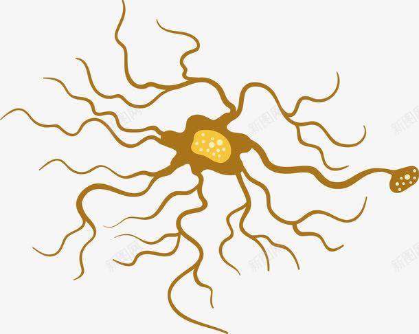 简约手绘医学细胞png免抠素材_新图网 https://ixintu.com 人体 医学细胞 生物 研究 细胞 黄色