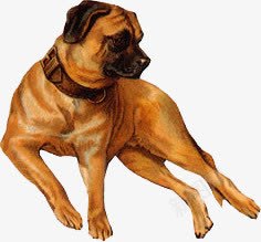 血猎犬狗动物家畜png免抠素材_新图网 https://ixintu.com 动物 家畜 猎犬