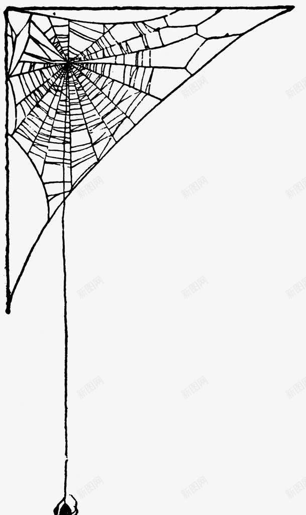 手绘蜘蛛网图案蜘蛛网和蜘蛛png免抠素材_新图网 https://ixintu.com 卡通 卡通素材 卡通蜘蛛网图片 手绘 手绘图片 手绘蜘蛛网 手绘蜘蛛网素材 线条 蜘蛛
