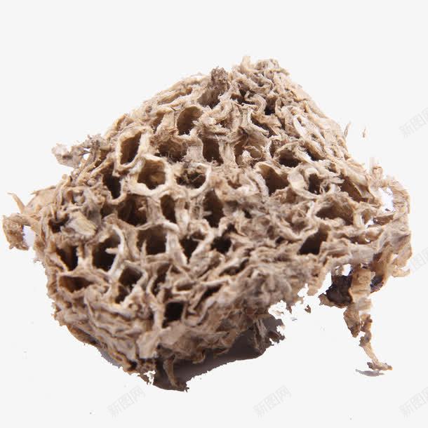 蜂窝药材png免抠素材_新图网 https://ixintu.com 产品实物 窝巢 蜂窝 蜜蜂窝 马蜂窝