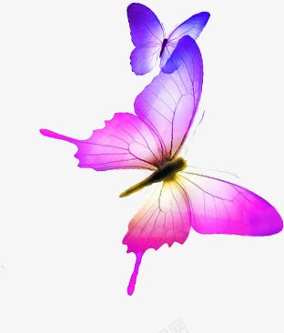 中秋节蓝紫色蝴蝶png免抠素材_新图网 https://ixintu.com 中秋节 紫色 蝴蝶