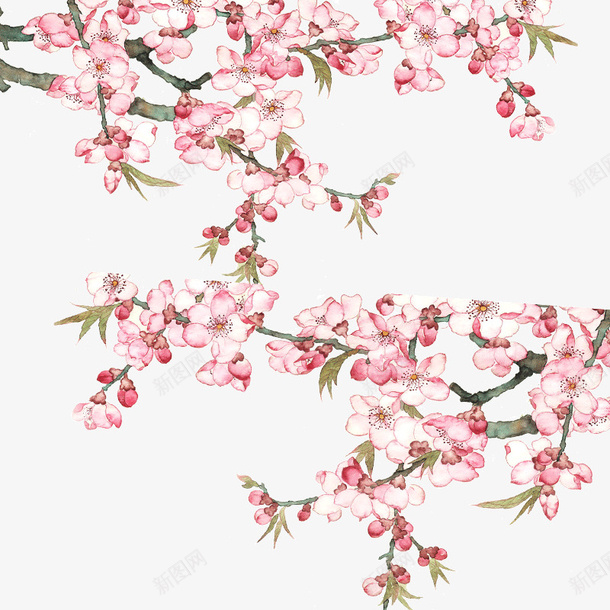 桃花装饰psd免抠素材_新图网 https://ixintu.com 桃花 桃花装饰 装饰设计 设计