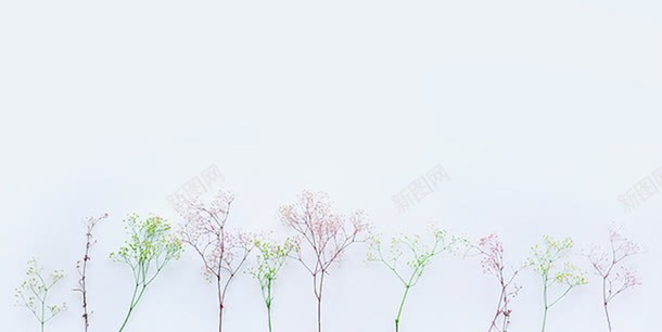 创意树枝背景png免抠素材_新图网 https://ixintu.com 冷色系 创意 树枝 植物背景