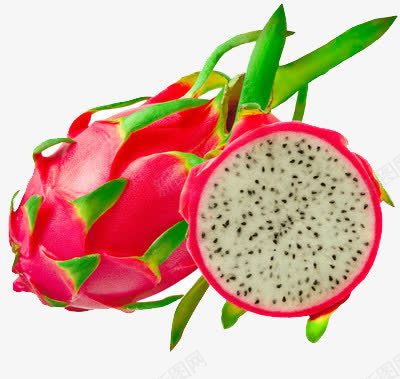 两只新鲜的火龙果png免抠素材_新图网 https://ixintu.com 新鲜 水果 火龙果 食物
