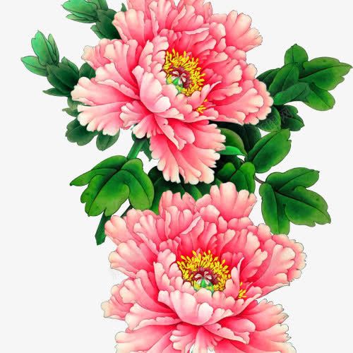 花朵png免抠素材_新图网 https://ixintu.com 粉色 绿叶 花叶