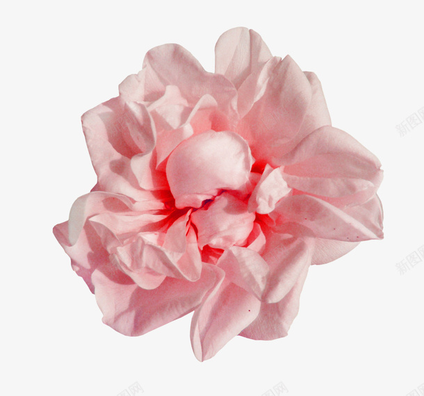 抽象鲜花花朵海报背景png免抠素材_新图网 https://ixintu.com 创意花卉图片 卡通鲜花素材 抽象鲜花图片 抽象鲜花图片素材花朵海报背景免费下载 鲜花图片素材 鲜花花卉