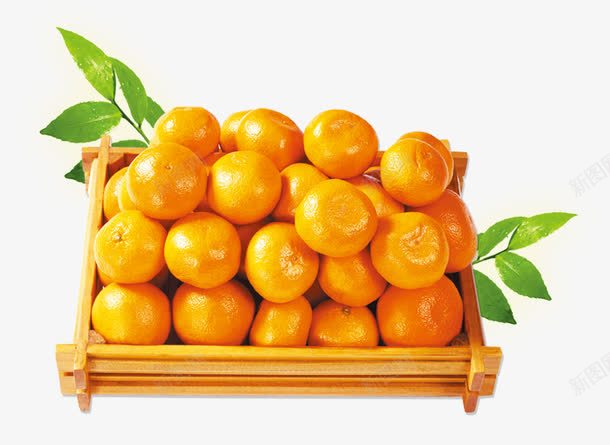 装框桔子png免抠素材_新图网 https://ixintu.com 装框桔子