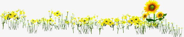 春天美景景观花朵png免抠素材_新图网 https://ixintu.com 春天 景观 美景 花朵