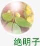 决明子药材png免抠素材_新图网 https://ixintu.com 决明子 图文 图案 药材 设计