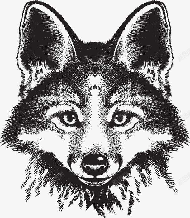 手绘狼狗png免抠素材_新图网 https://ixintu.com 凶猛 动物 卡通 手绘 狼狗 豺狗 豺狼 黑色
