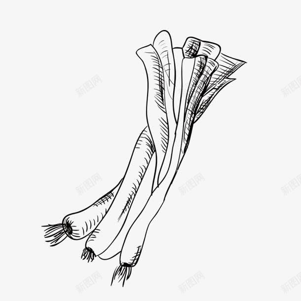 手绘大葱png免抠素材_新图网 https://ixintu.com 一捆 大葱 手绘画 矢量装饰 蔬菜 装饰