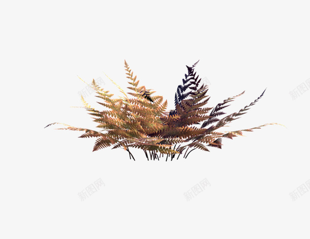 侏罗纪藓类植物4png免抠素材_新图网 https://ixintu.com 侏罗纪 植物 藓类植物