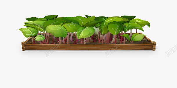 种植蔬菜png免抠素材_新图网 https://ixintu.com 种植 绿色 蔬菜