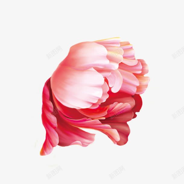 牡丹花png免抠素材_新图网 https://ixintu.com 中国画 国画 国画元素 国画素材 国画花卉