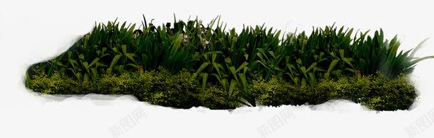 植物绿化园林草png免抠素材_新图网 https://ixintu.com 园林 植物 绿化 草