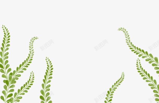 绿色草藤装饰png免抠素材_新图网 https://ixintu.com 图片 绿色 装饰