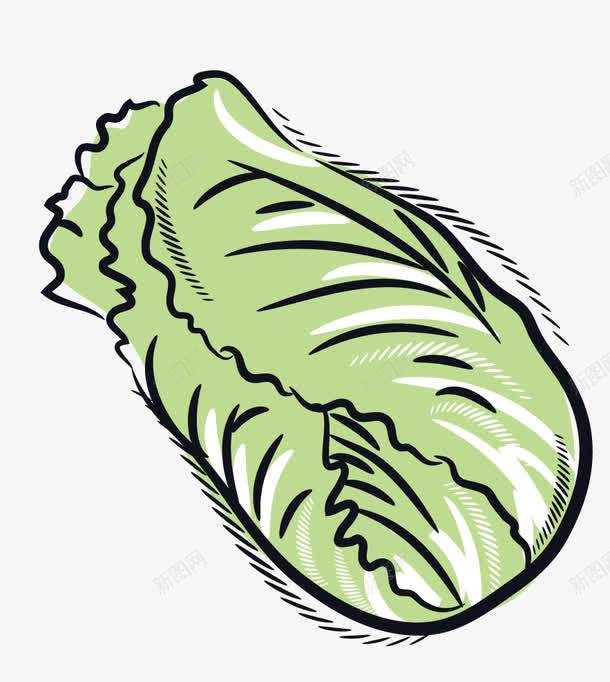 手绘大白菜png免抠素材_新图网 https://ixintu.com 卡通 大白菜 手绘 绘画 蔬菜 食物
