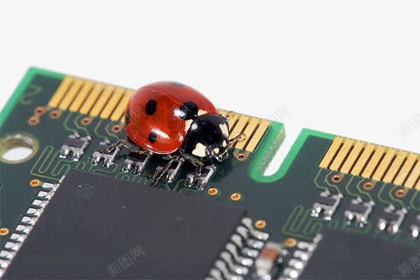 科技芯片png免抠素材_新图网 https://ixintu.com 瓢虫 电路板 科技 芯片电路