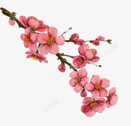 手绘桃花枝元素png免抠素材_新图网 https://ixintu.com 元素 桃花