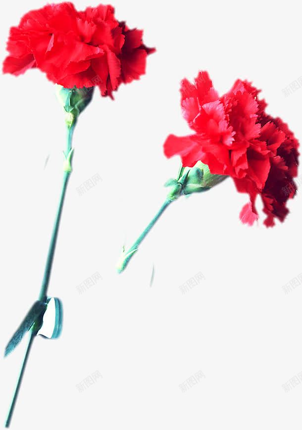 红色鲜花节日花束png免抠素材_新图网 https://ixintu.com 红色 节日 花束 鲜花
