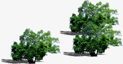 公园景观植物场景png免抠素材_新图网 https://ixintu.com 公园 场景 景观 植物